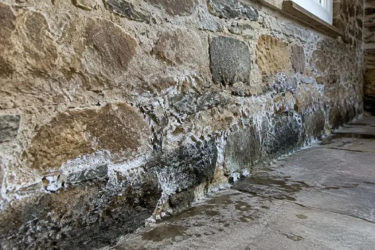 Mur en pierre rénovée présentant une bande humide caractéristique en partie basse